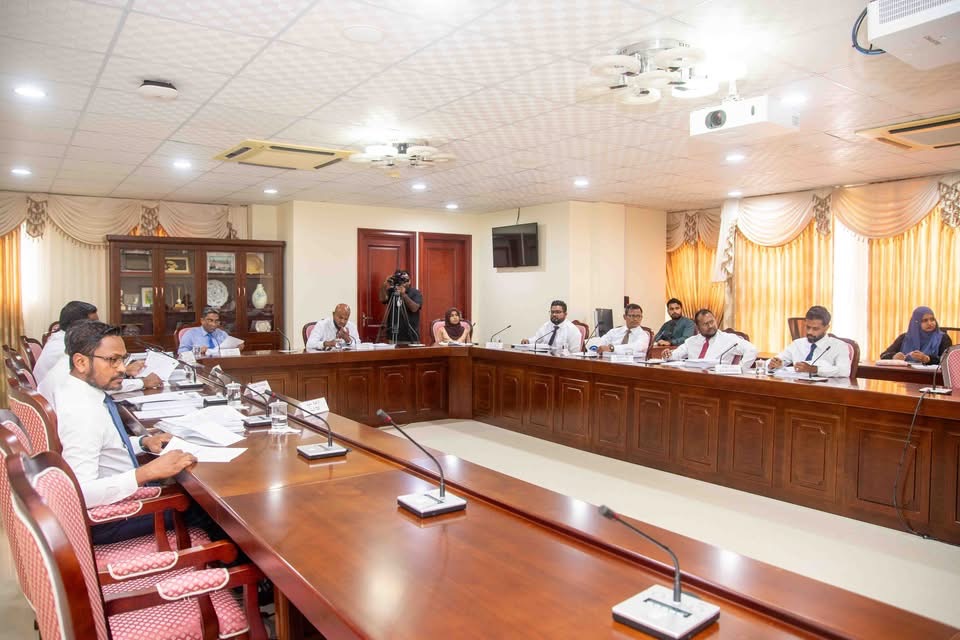 އިޤްތިޞާދު މި ޙާލަތުގައި އޮއްވައި މަޖިލީހުން އުޅެނީ ފޭލި ވިޔަން